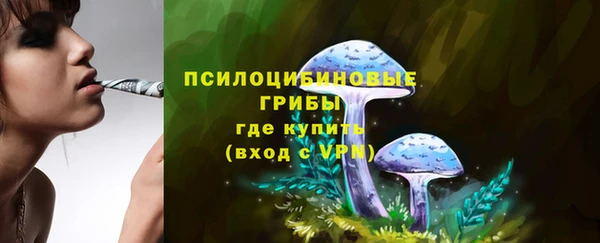 Альфа ПВП Зеленокумск