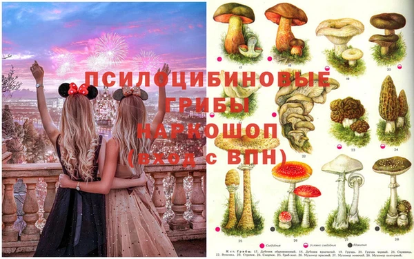таблы Зерноград