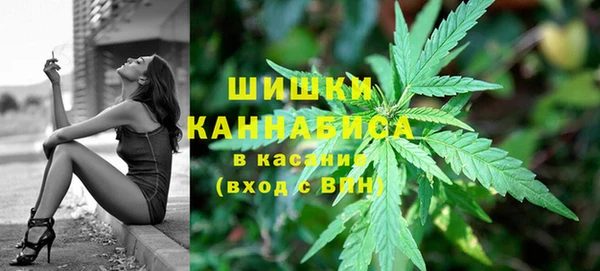 Альфа ПВП Зеленокумск