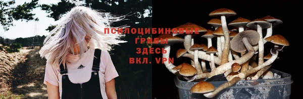 Альфа ПВП Зеленокумск