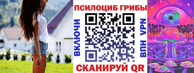 Купить где  Шумерля  Галлюциногенные грибы мицелий 